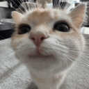 avatar Gabriel Lozano Nicolas