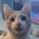 bwity