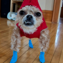 elfalito