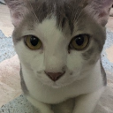 avatar เจ็บมือ