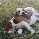 avatar มึนเมา&โซจู