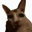 kukruza