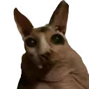 kukruza