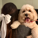 avatar ʚPurpledeathɞ