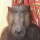 Аватар signaturing.