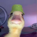 sunshinemine