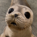 avatar Your_Local_Seal