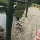 kubagamer123_yt