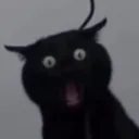 jaquva
