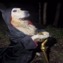 alloytube#4479's avatar