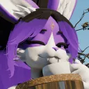 bonstoxe