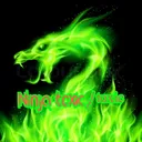 ninjatoxicnotoxi4152