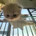 climbit