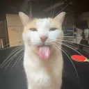 sykz.mp3