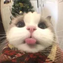 luhma_