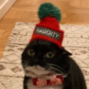 mldrlock#5268's avatar