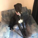 chloe072871