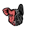 borkmania
