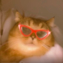 avatar 𝐦𝐚𝐝𝐥𝐞𝐧𝐚⋆.˚🦋༘⋆