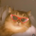 avatar 𝐦𝐚𝐝𝐥𝐞𝐧𝐚⋆.˚🦋༘⋆