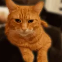 gxui