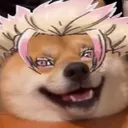 griffooo1
