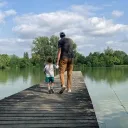 artemisalexis