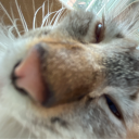 avatar FinnStek