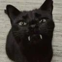feliciar