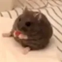 augustandersen avatar