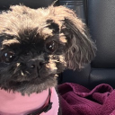 richeerd#9163's avatar