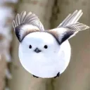 albatross2059