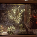 alanei#6061's avatar