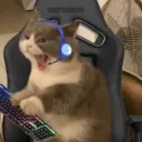 ryotpengu