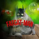 fatcatman98