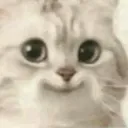 bluuicon