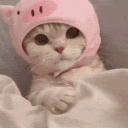 avatar julia 𖾕𖾝꙼ᩚ𛲕𖾟