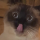 avatar 💜🍍𝐌̶𝐨̶𝐯̶𝐀̶𝐧̶𝐚̶𝐧̶𝐚̶𝐬̶💜🍍