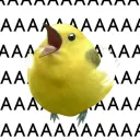 _petio