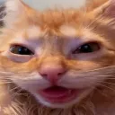 thatdamage1337