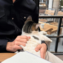 avatar Batuhan Türkoğlu