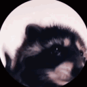 avatar ᴍɪꜱɪᴀᴋ