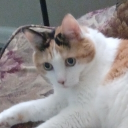 avatar 5dollarhooker