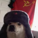 notnotpedro