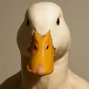duck660 avatar