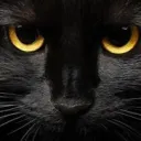 seemoneyofficial avatar