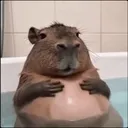 aegiszf