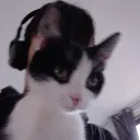 willygamer