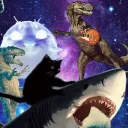 meowboot_
