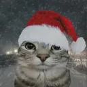 5spetznatz